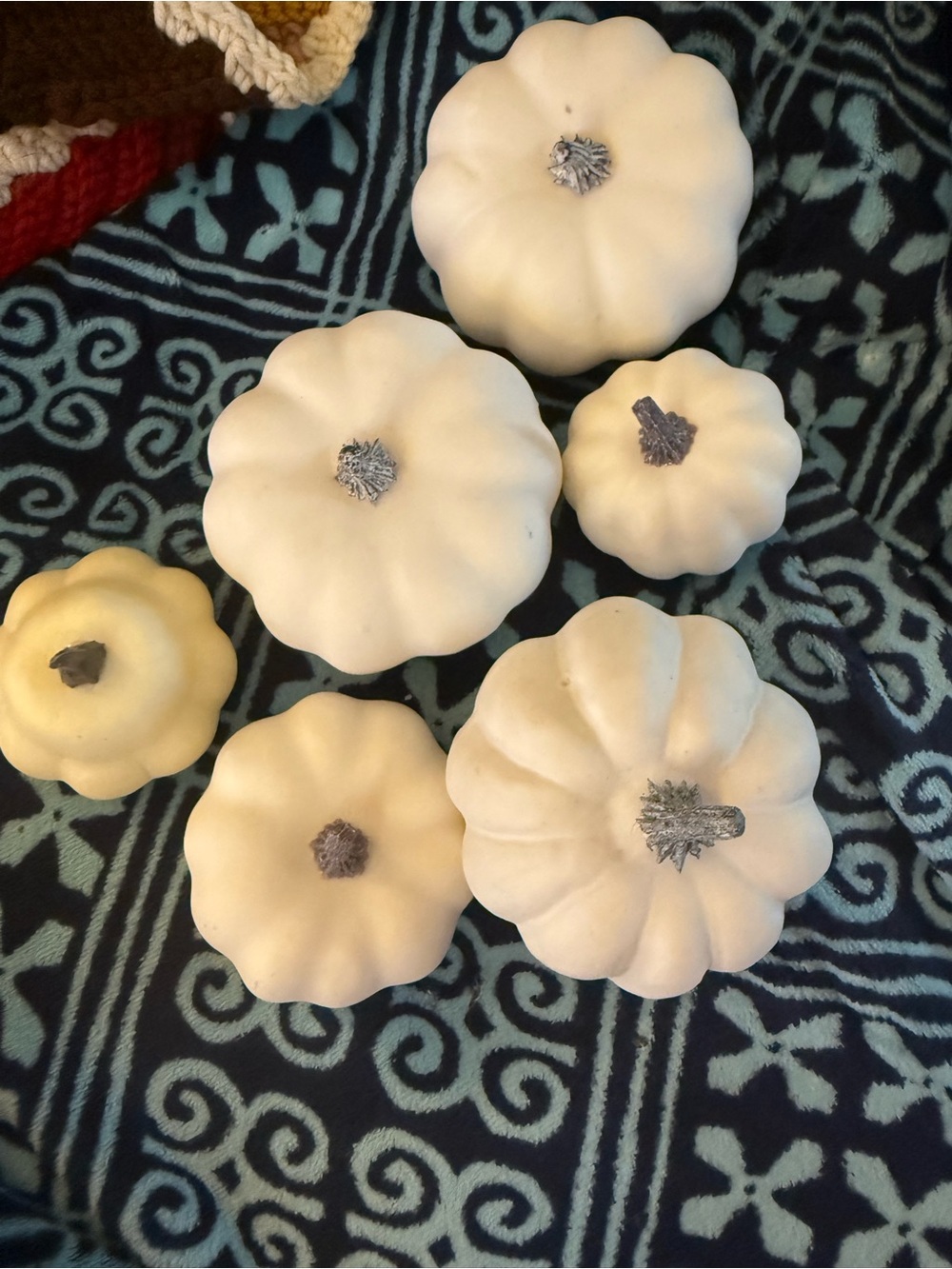 Set of 6 White Decorative Gourds Set of 6 White Decorative Gourds for Fall Decor